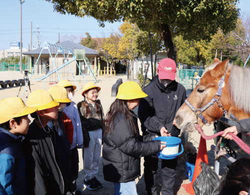 ２月２日（治田西小学校）馬と触れ合う小学生