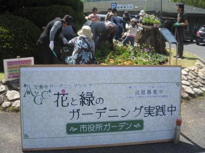 平成24年4月28日開催 市役所前花壇ガーデニングの写真