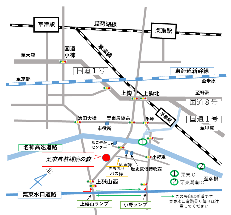 森への道