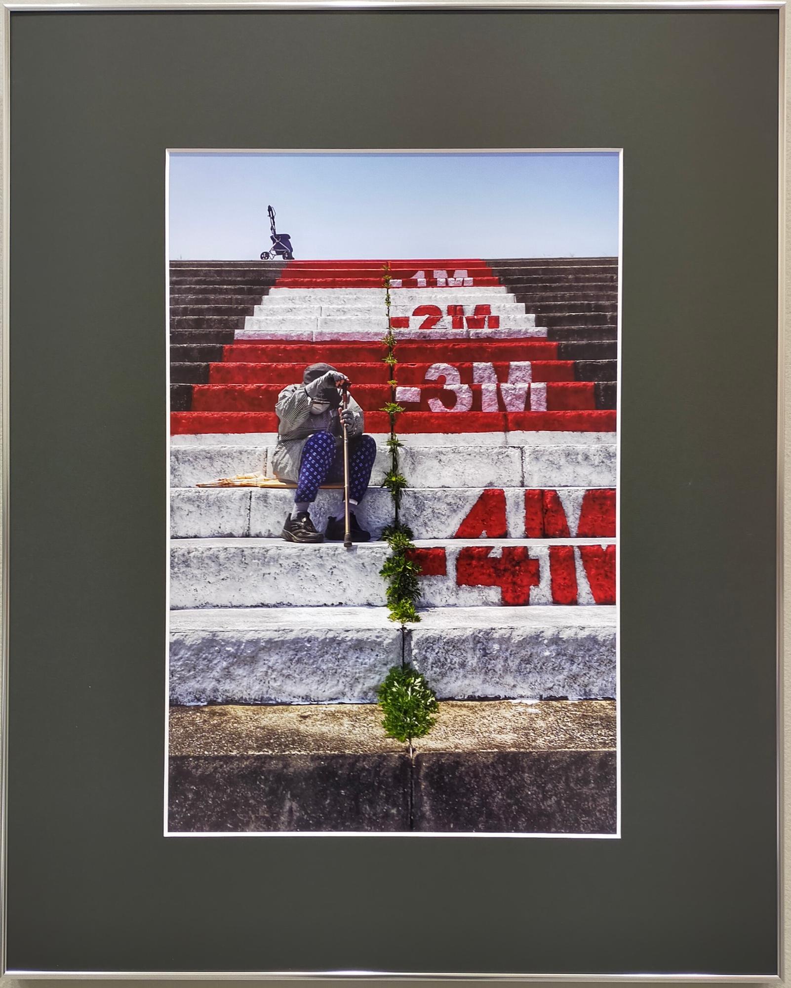 写真市展賞作品
