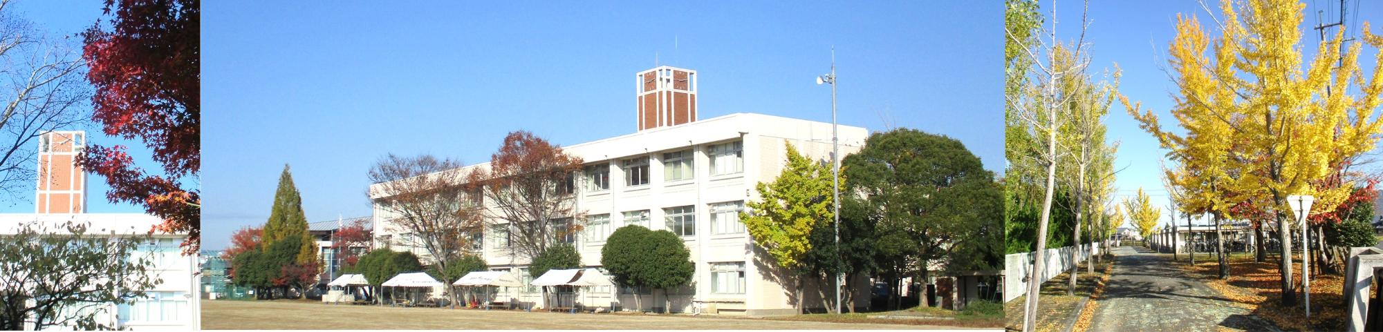 秋の風景です。