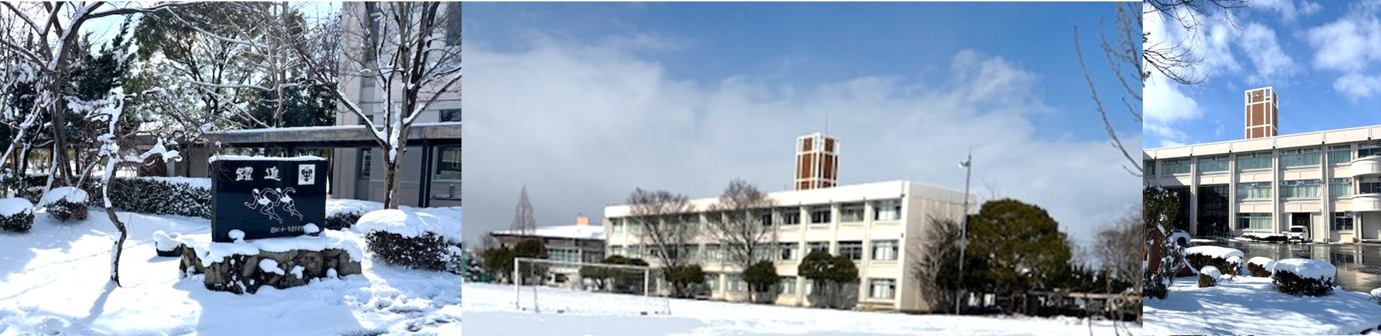 冬。雪が降った時の写真です。