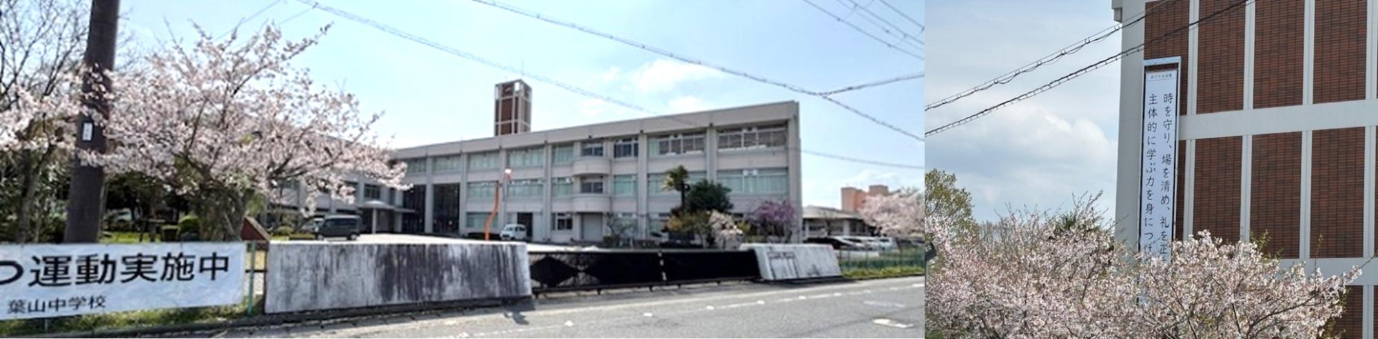 春の様子です。