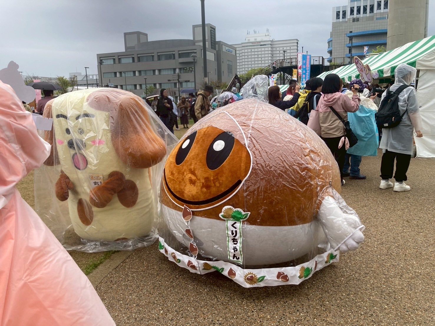 くりちゃん
