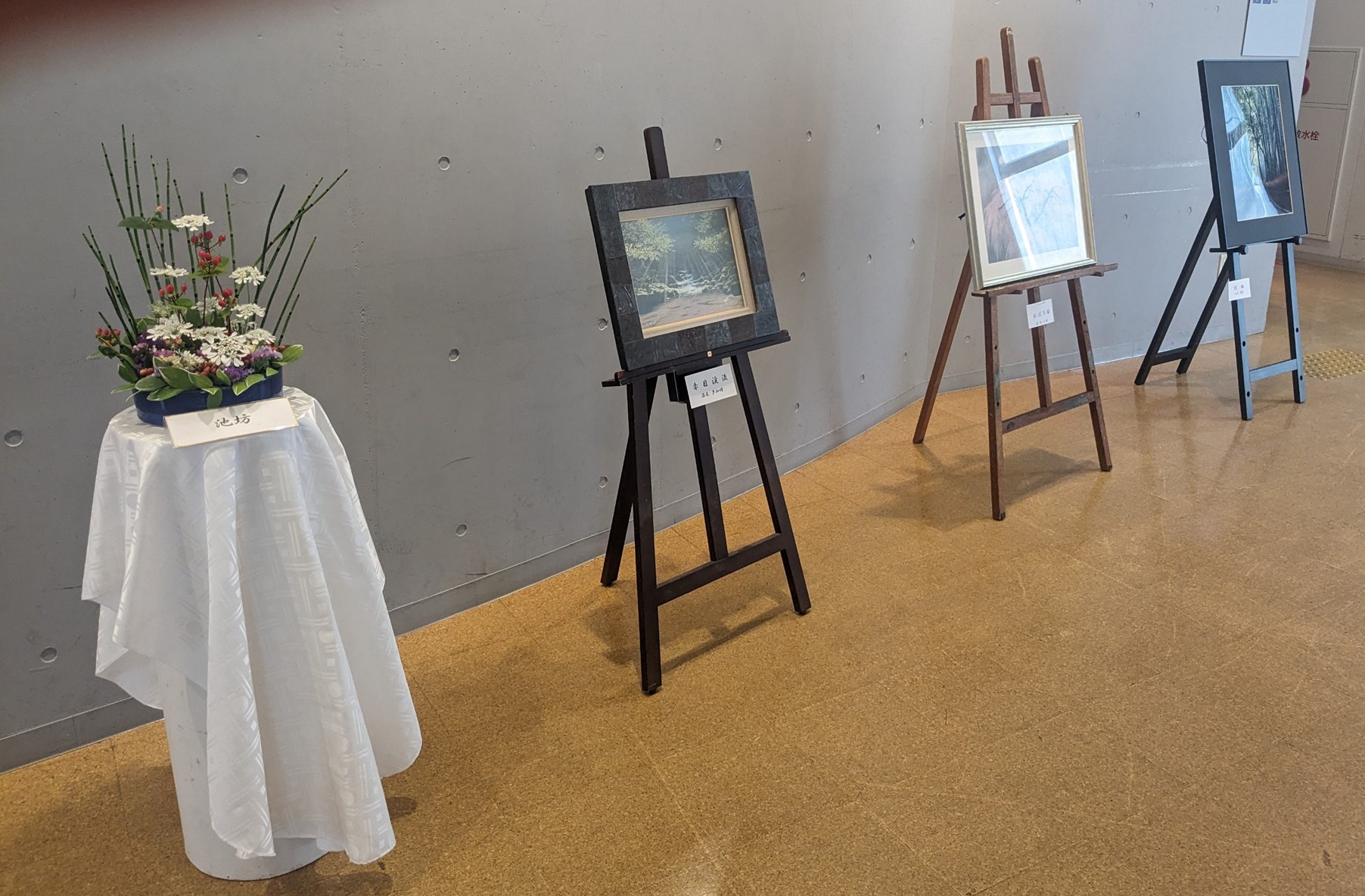 展示の様子