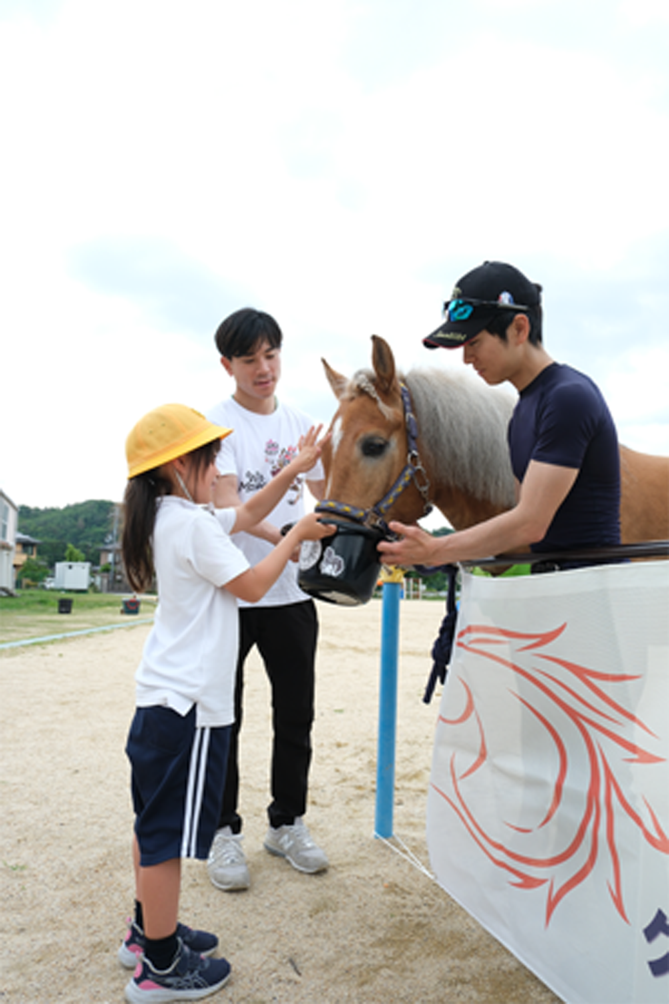 児童が馬に餌槍をする様子