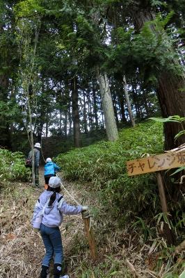 チャレンジ坂の写真