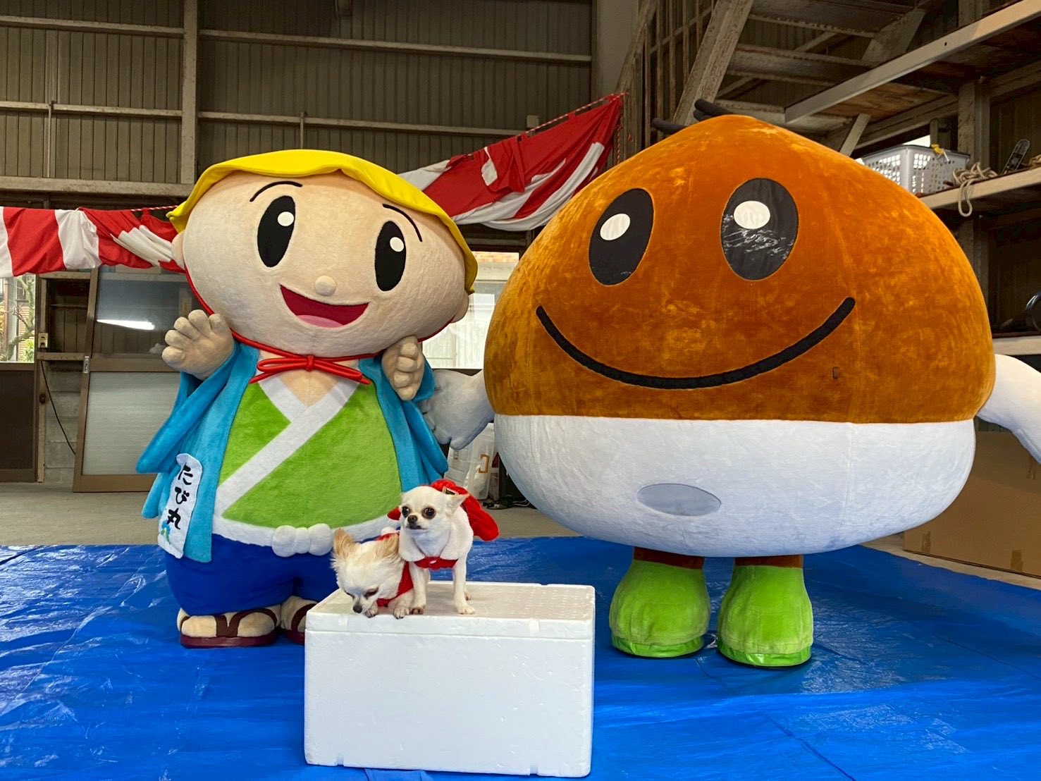 くりちゃんのおでかけ日記 もりやまいち