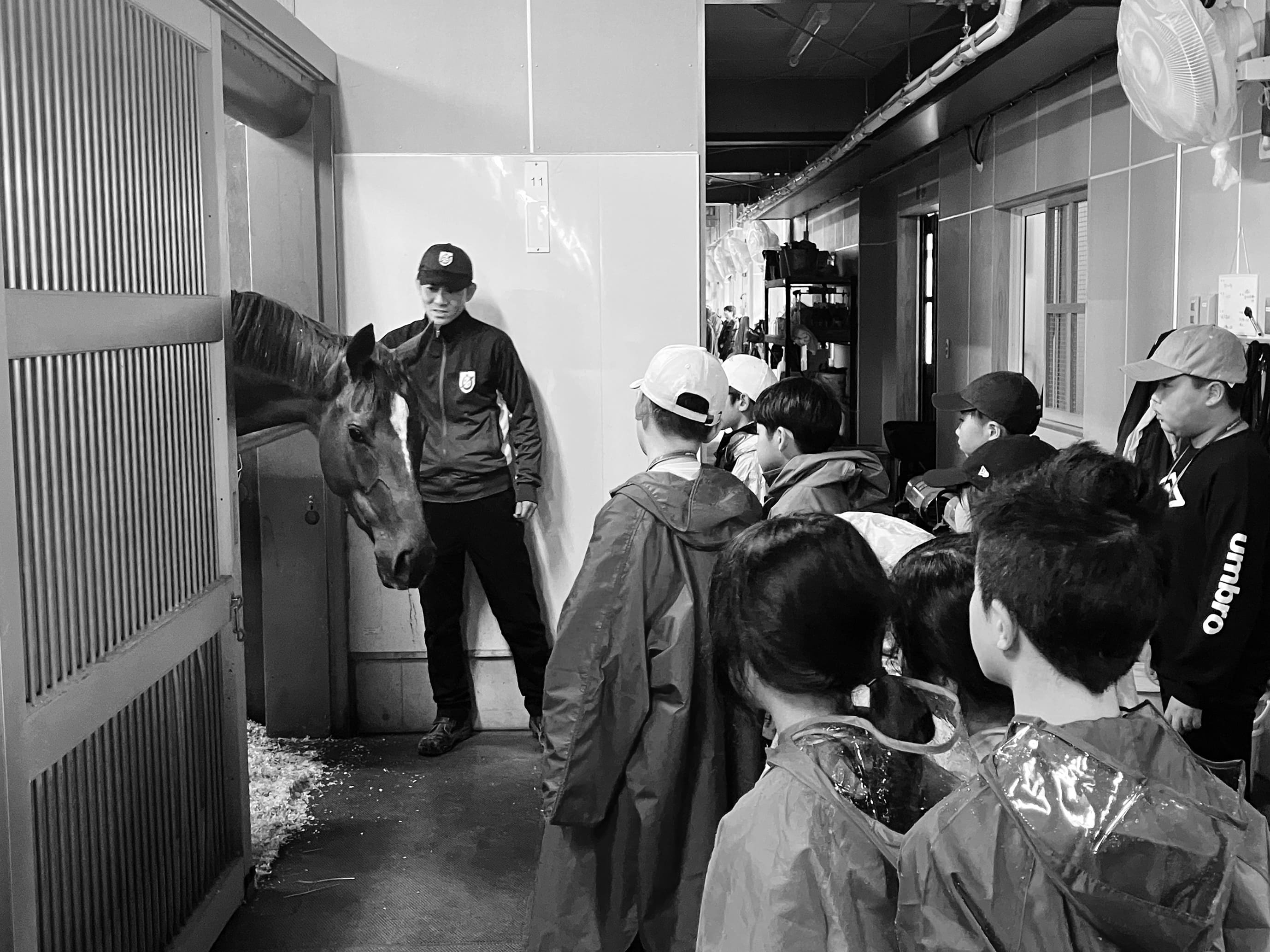 栗東JRA 小学生・中学生向け見学ツアー