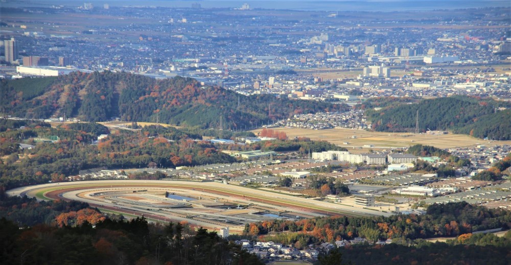 横ケ峯展望所から見える栗東トレーニング・センター。普段は立ち入ることのできない施設を一望できる特別なスポット