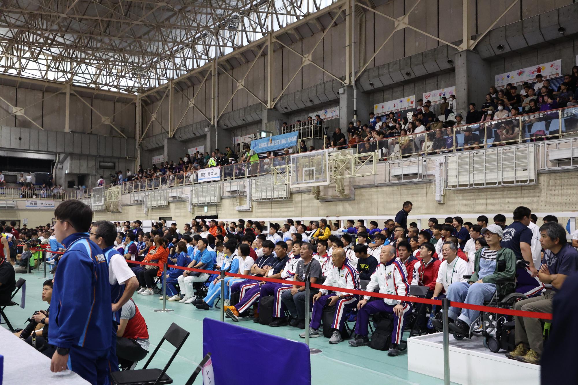 レスリング競技観覧者