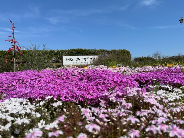 ガーデンきずな1