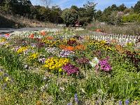 ガーデンきずな2