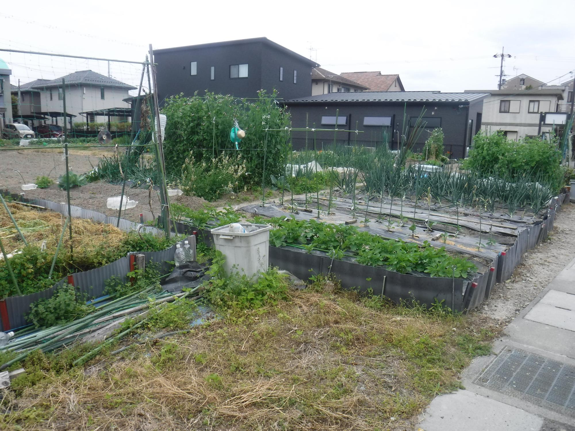 植木跡地農園