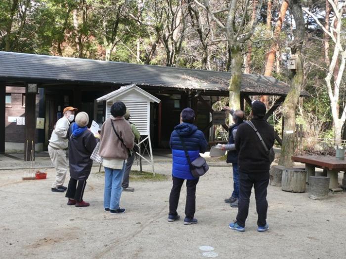 コブシの冬芽を見つけよう