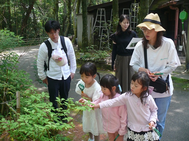 ハナイカダの観察です
