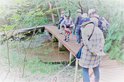 池の中で何か見つけたのかな