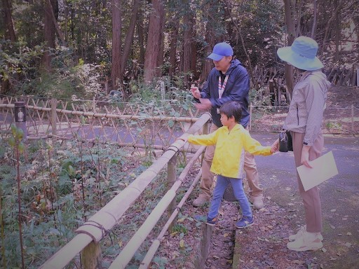 ウバユリのタネはいくつ入っているかな