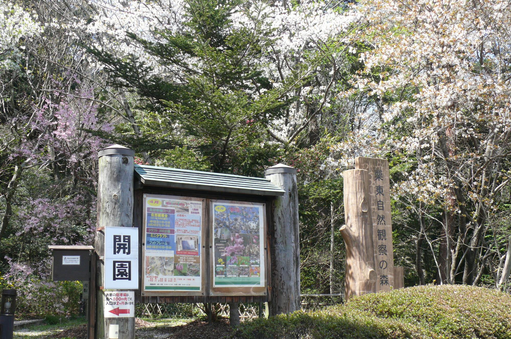 正門
