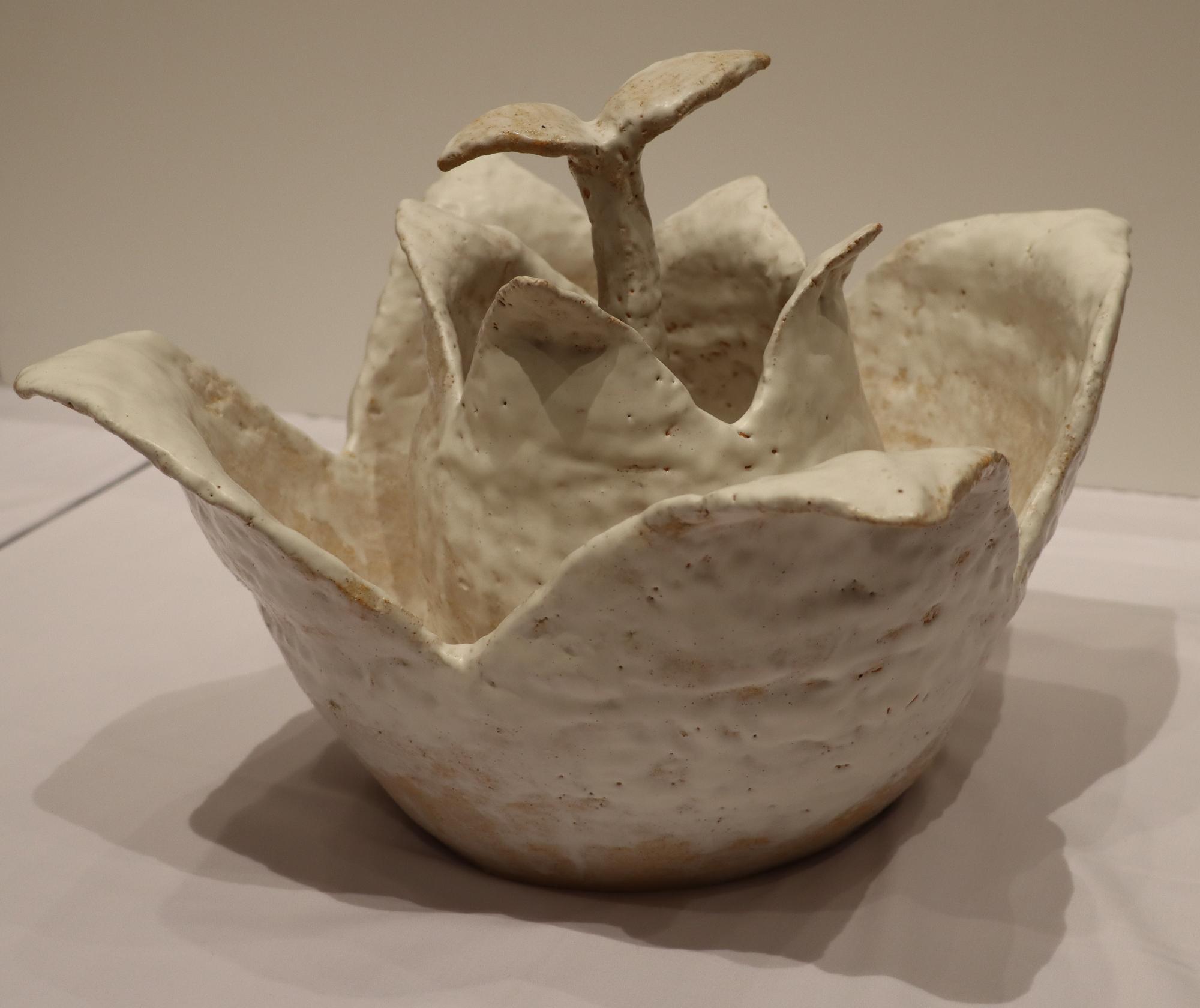 立体部門佳作の写真「発想の種」