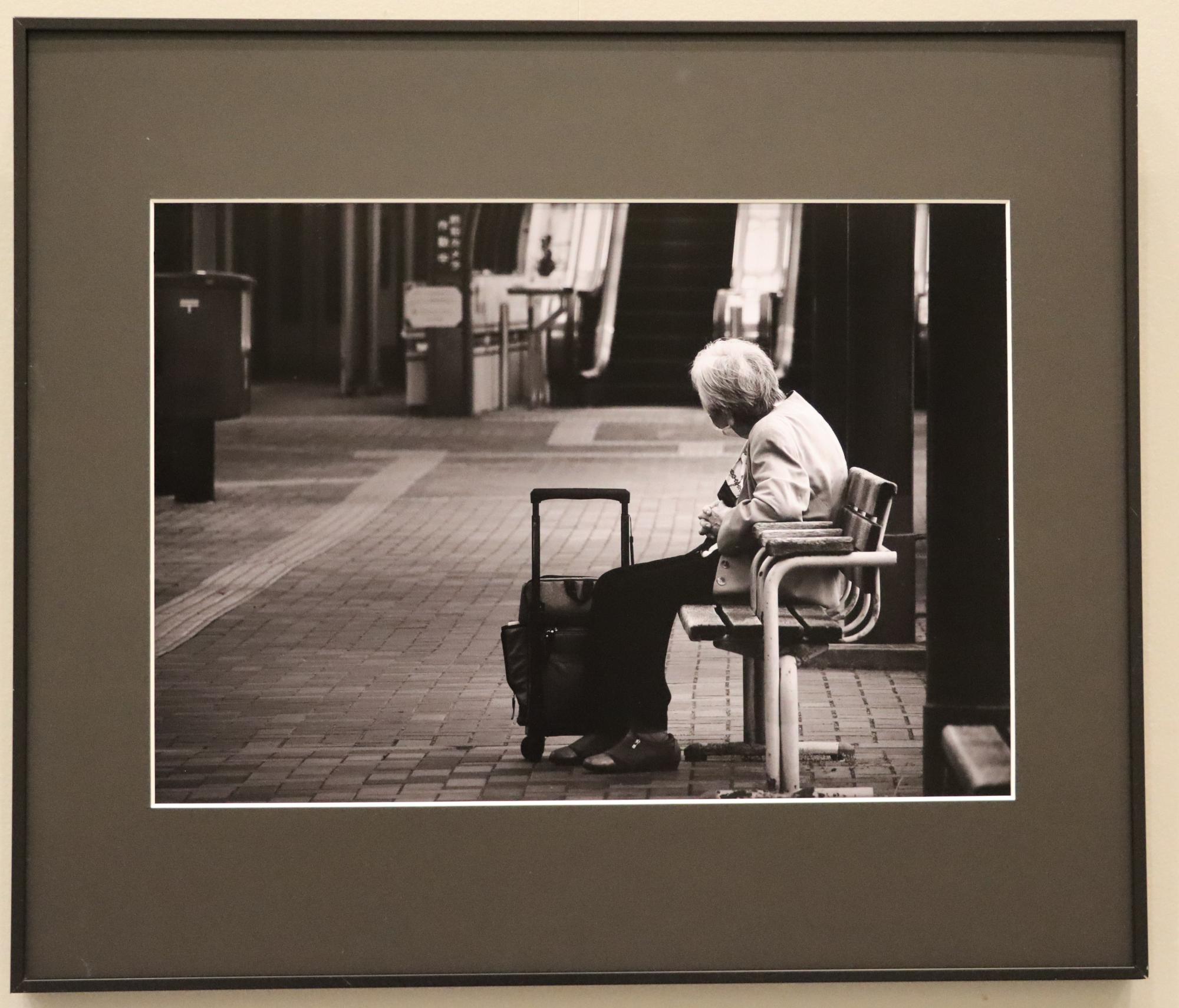 写真部門特選の写真「まだかな」