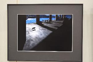 市展賞写真の部「昼下がり」折笠さつきの美術品の写真