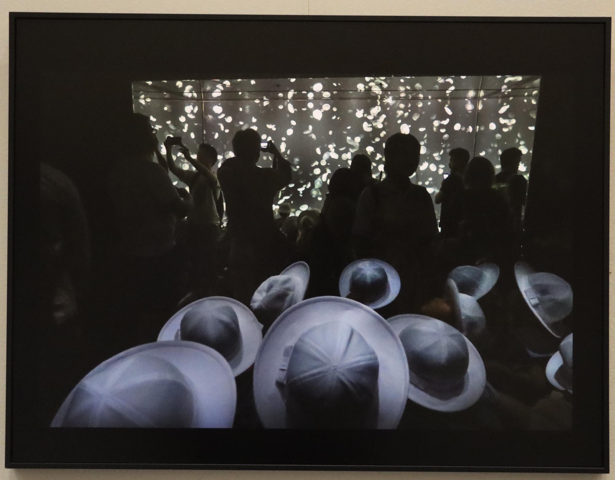 市展賞写真部門作品