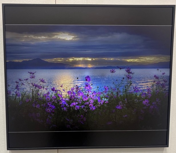 写真部門佳作の写真「曙光」