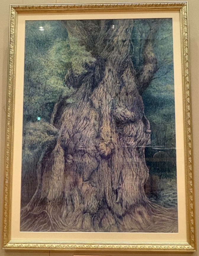 平面部門特選の写真「屋久杉」