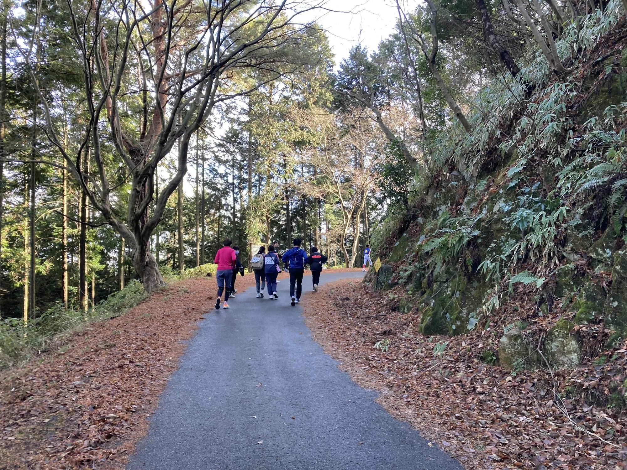 山道を走る参加者の様子