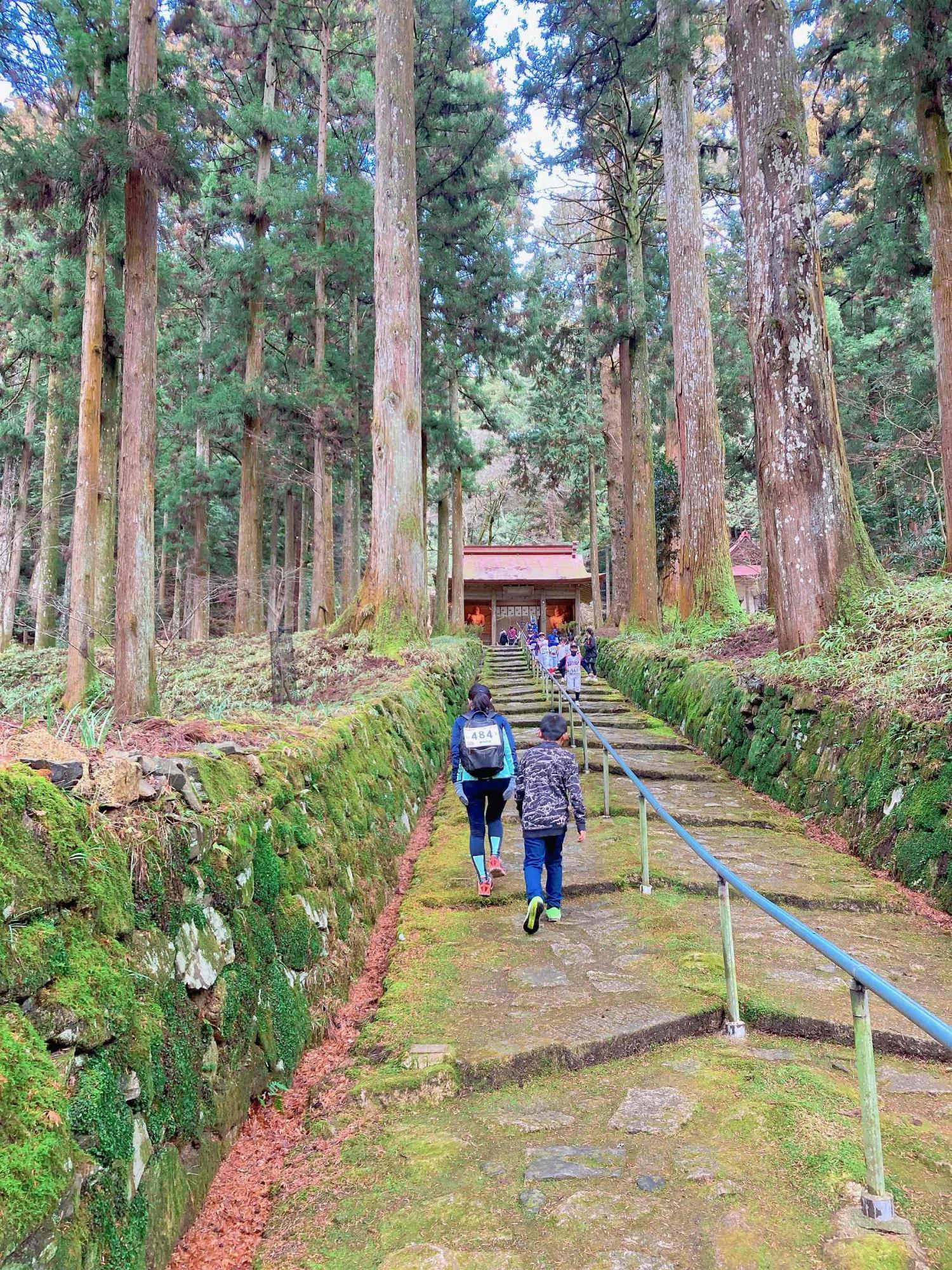 金勝寺山道を歩く参加者の様子