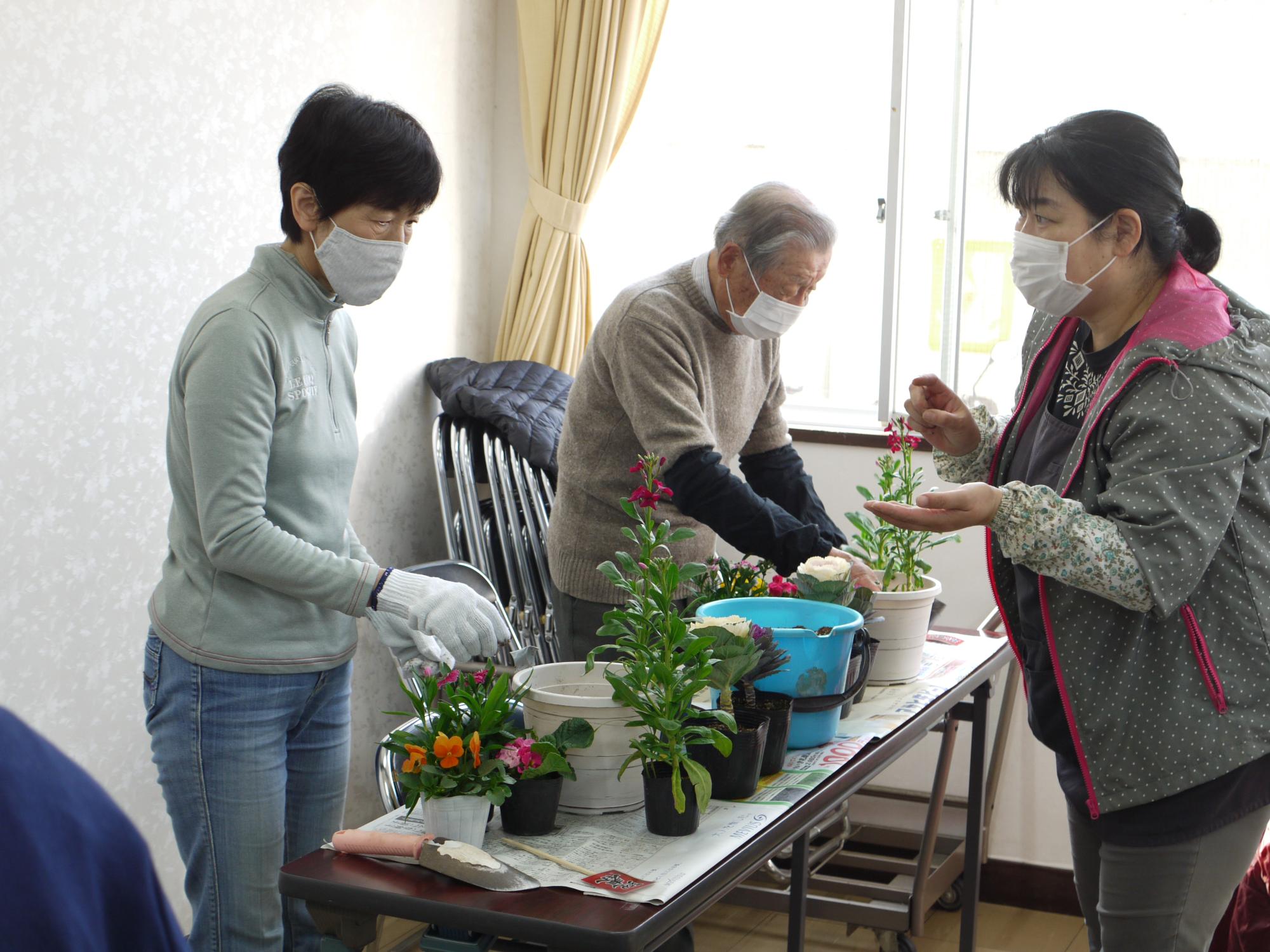 寄せ植え3