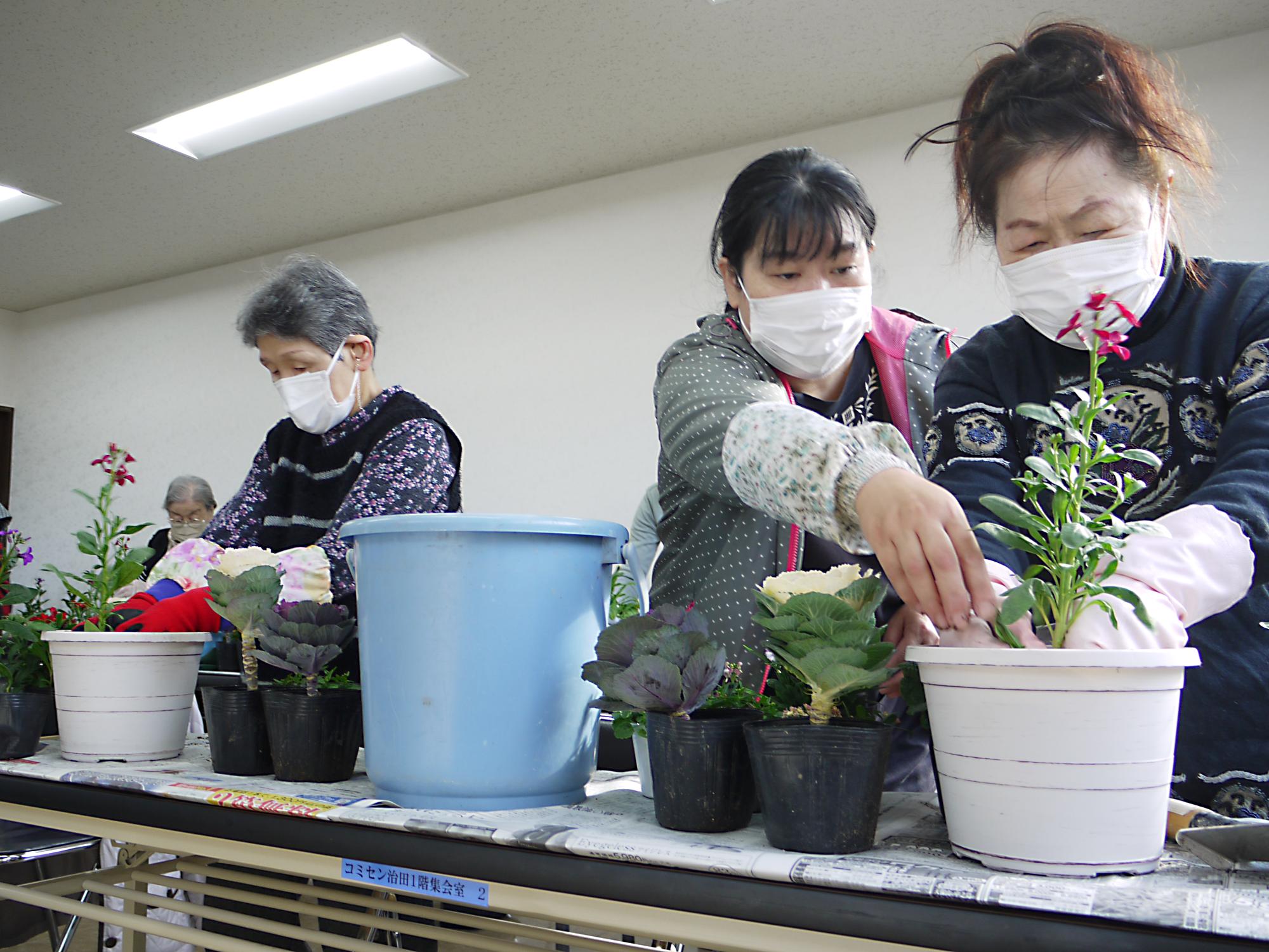 寄せ植え