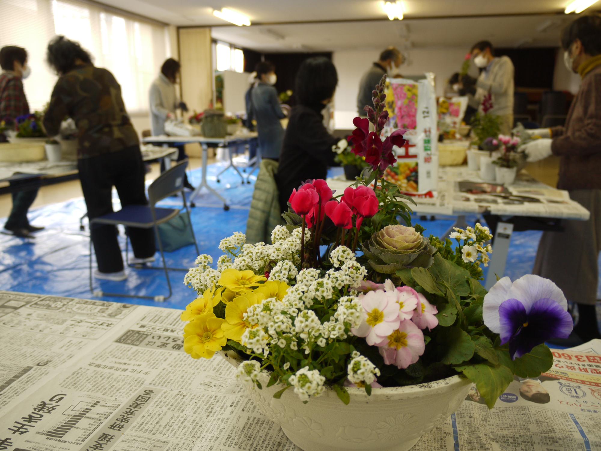 寄せ植え 大宝01