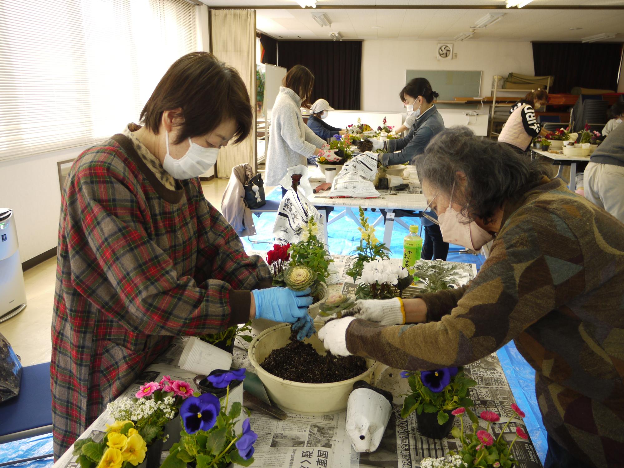 寄せ植え 大宝04