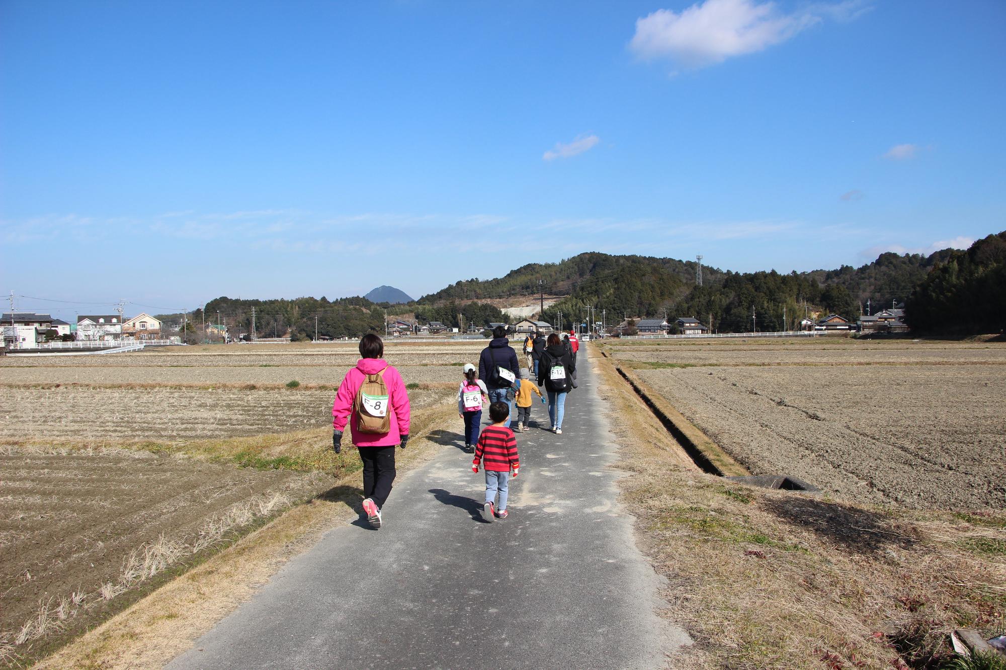 アベック登山田んぼと青空