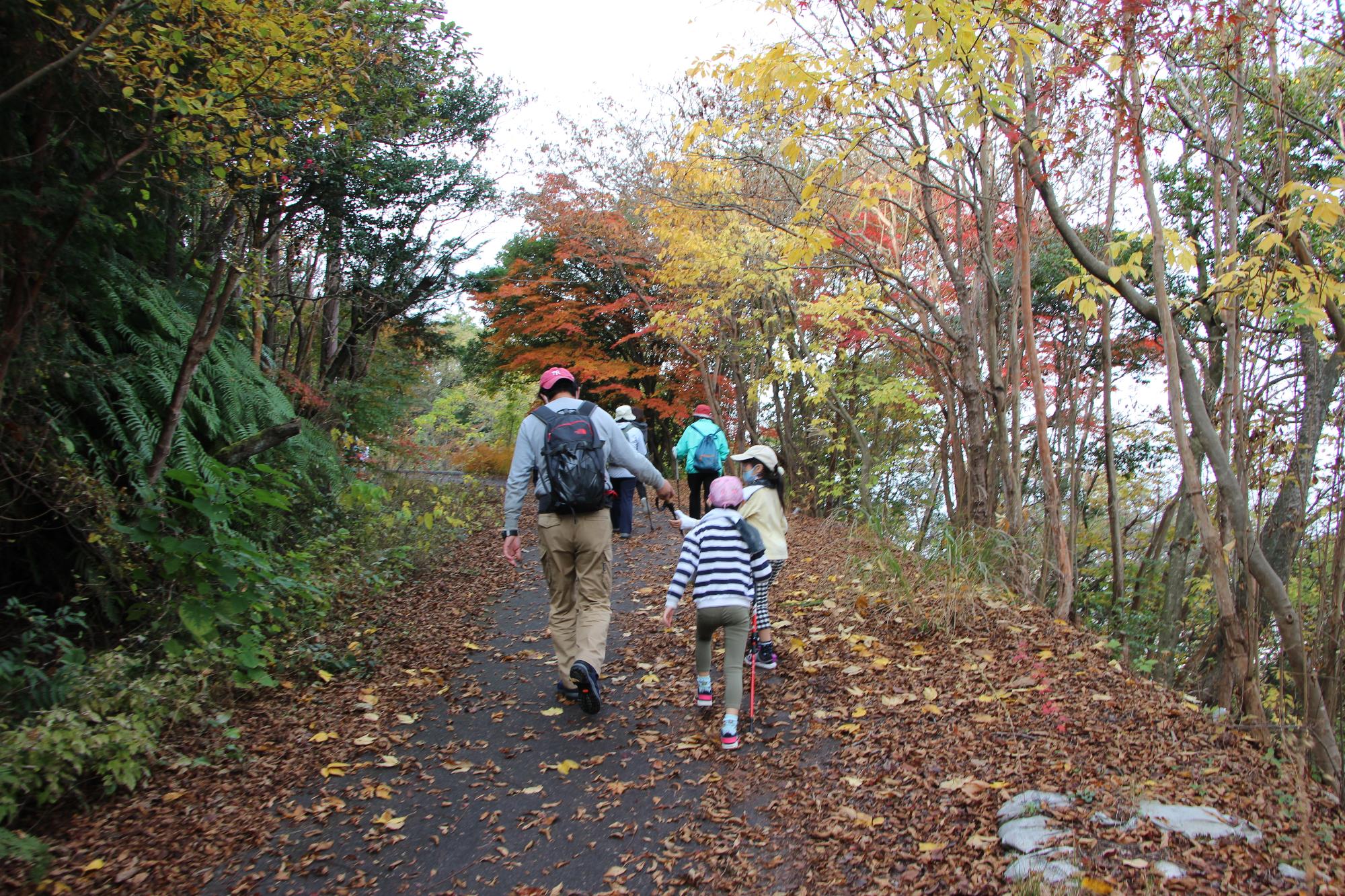 安養寺山紅葉