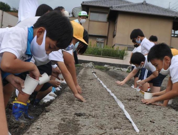 大根とかぶの種まきをする金勝学童保育所の児童たち