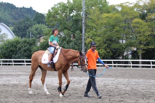 馬に親しむ日