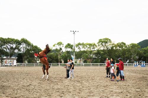 馬に親しむ日