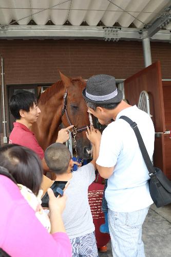 馬に親しむ日