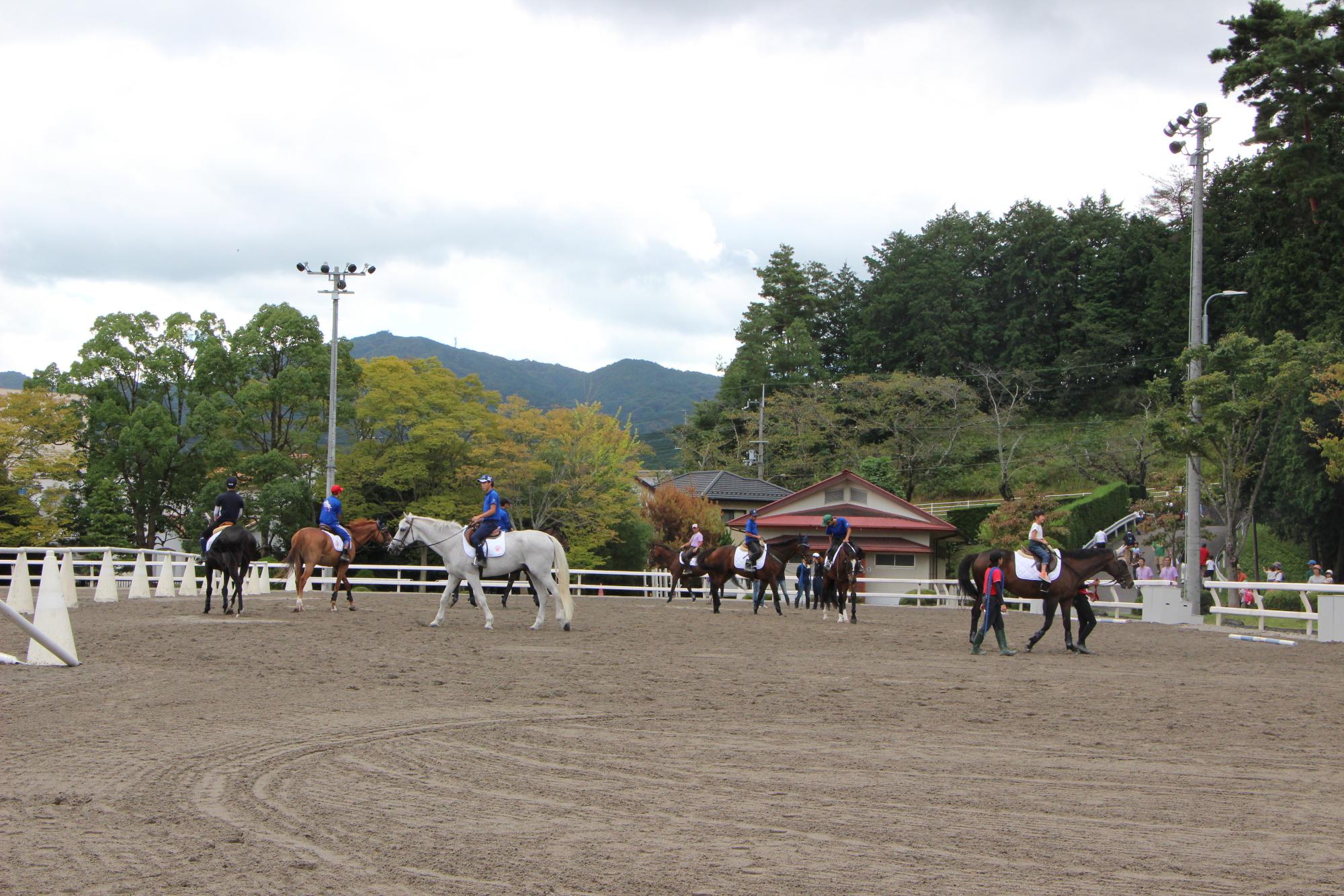 馬に親しむ日2019_01