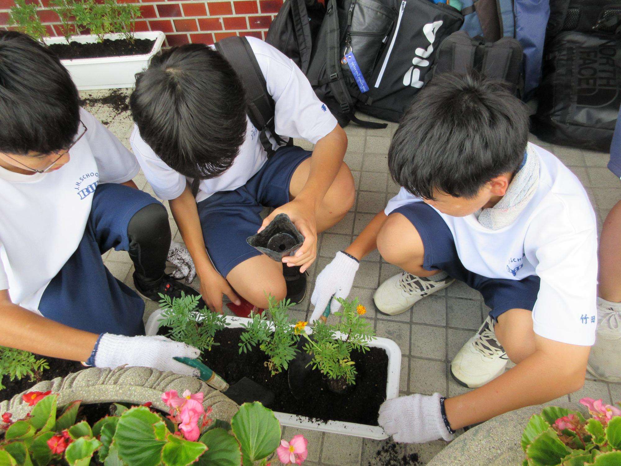 国スポ障スポ応援花植え