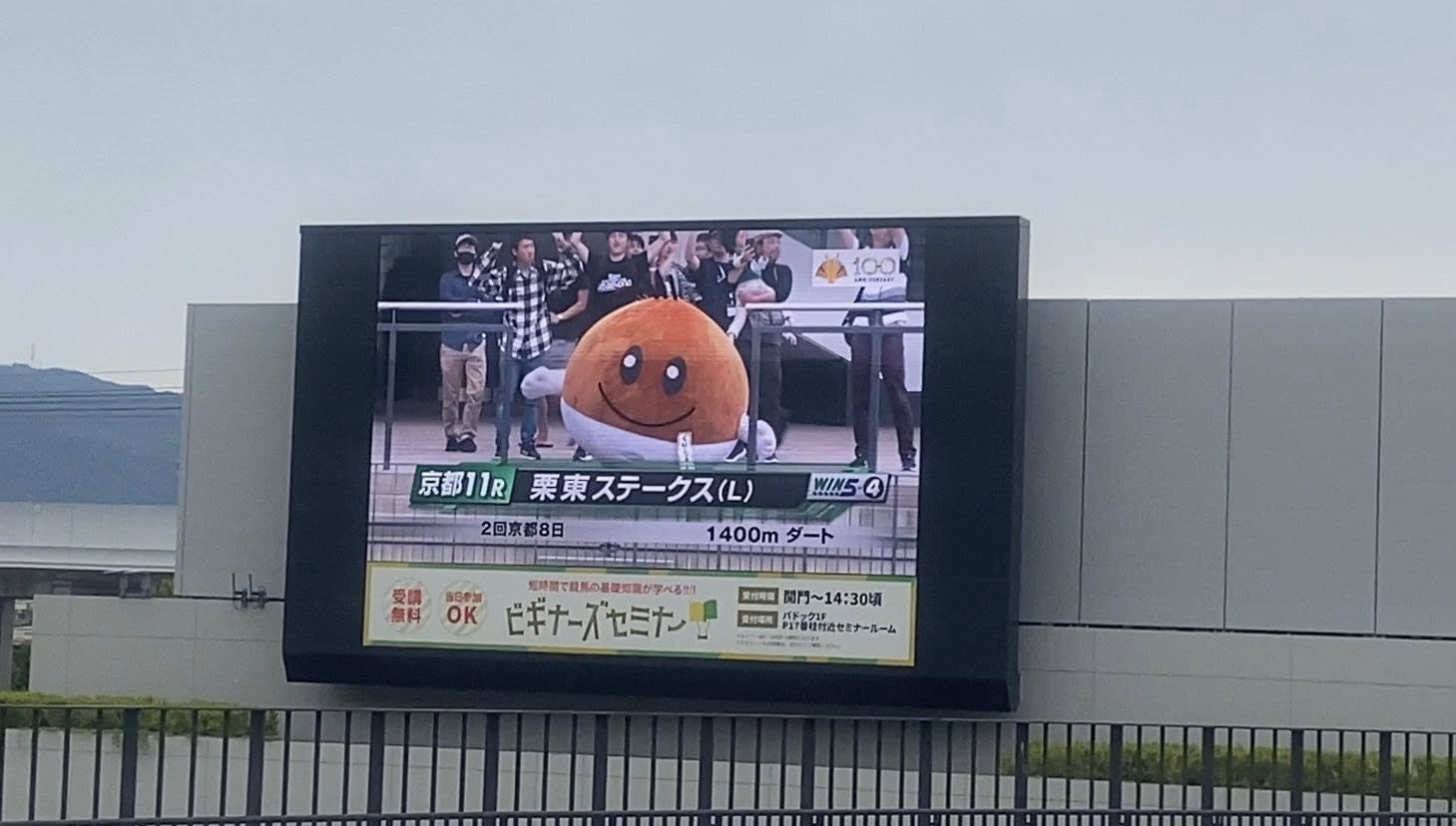 栗東ステークス くりちゃん