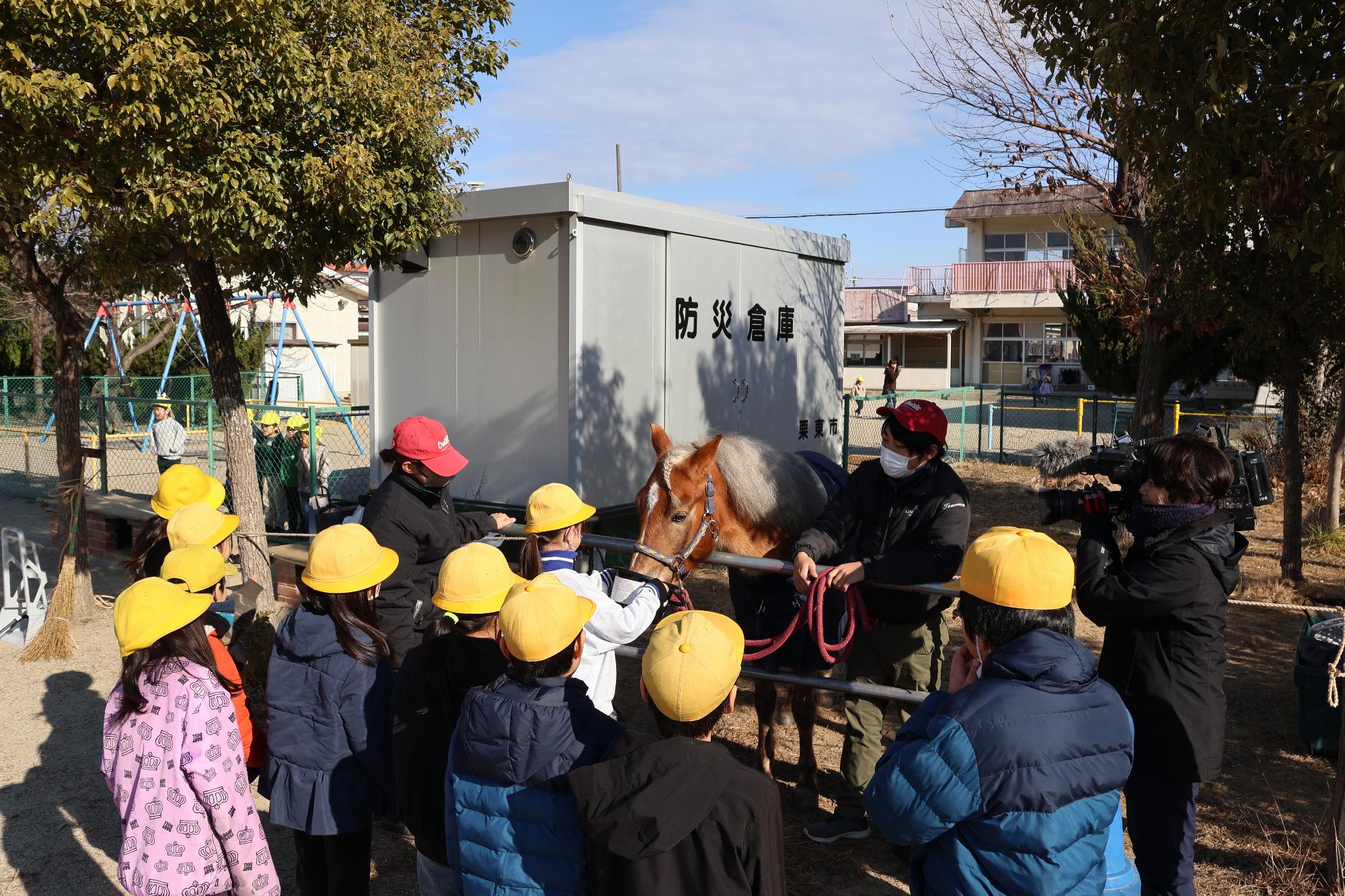 馬に餌槍をする様子
