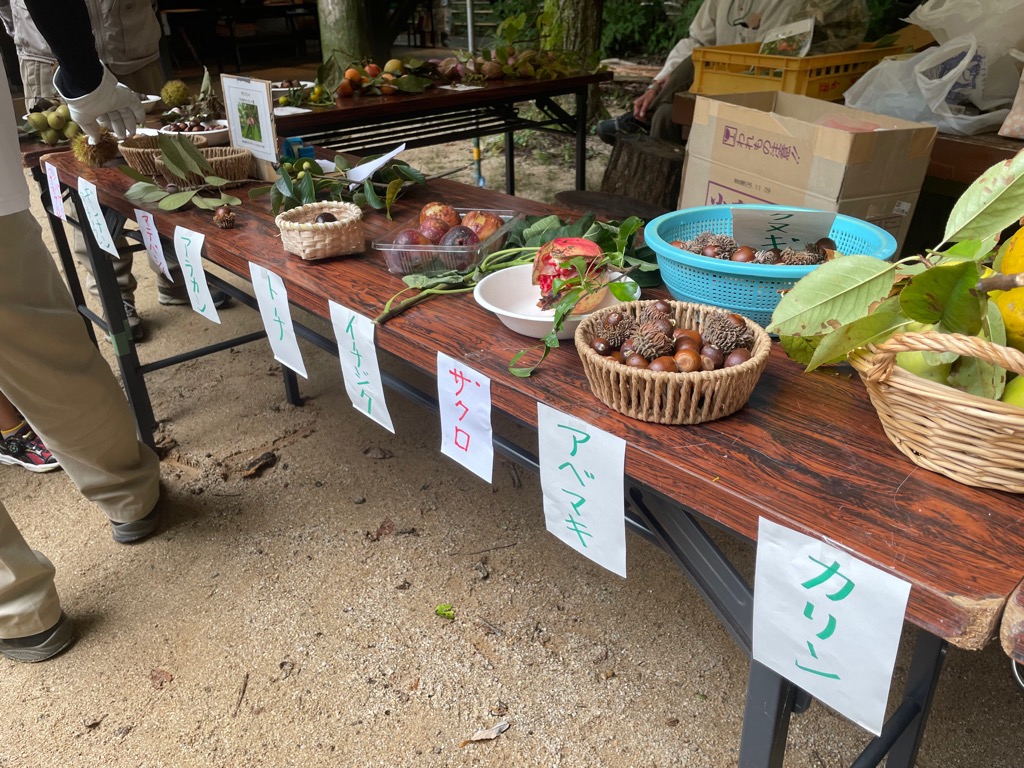 森の秋まつり10