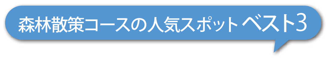 森林散策コースの人気スポット ベスト3