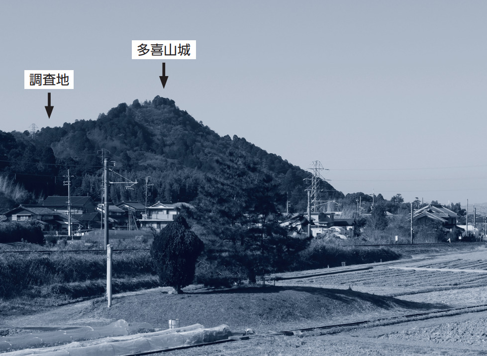 日向山遠景
