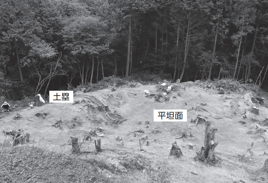 調査地